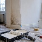Murs humides et petites invasions : traiter la moisissure avant qu’elle ne s’installe