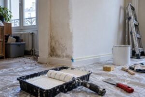 Murs humides et petites invasions : traiter la moisissure avant qu’elle ne s’installe